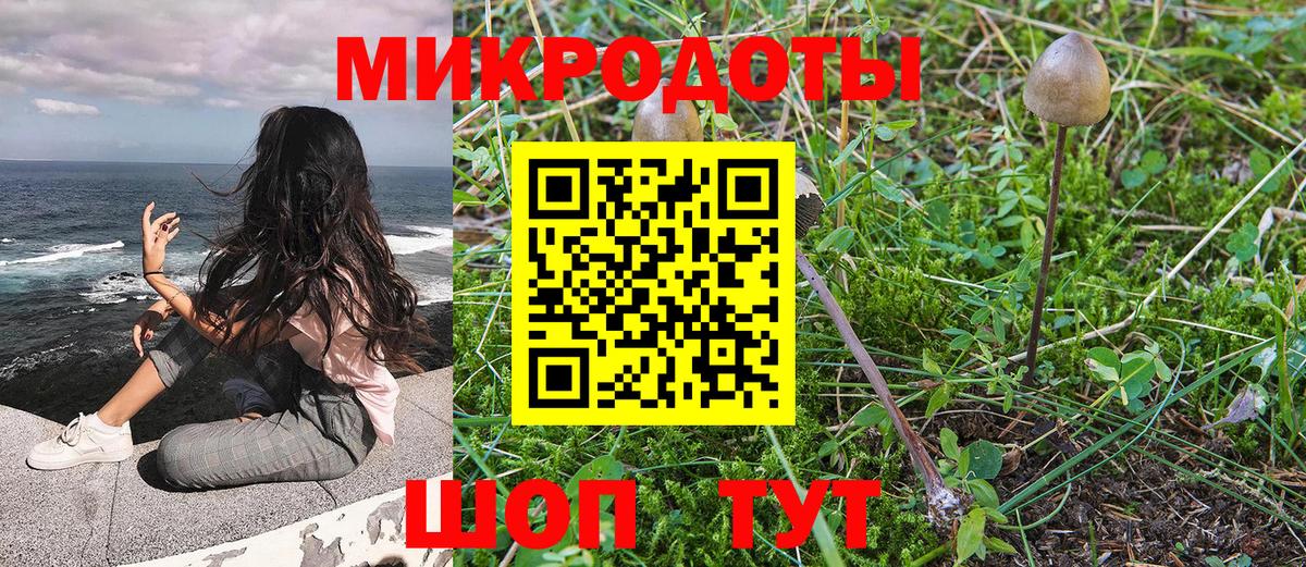 Псилоцибиновые грибы мухоморы Усинск