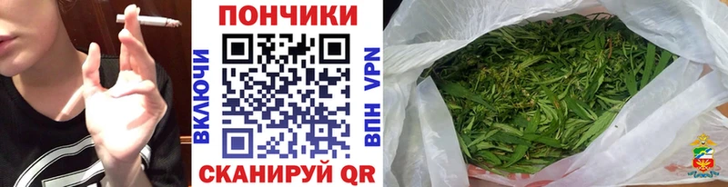 Шишки марихуана планчик  Усинск 